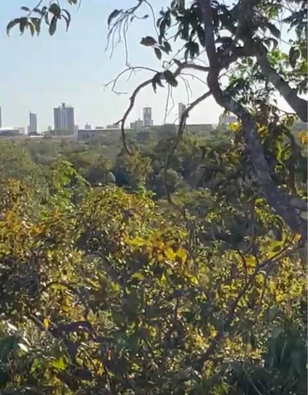 Terreno à Venda no Condomínio de Chácaras Setor Leste – Palmas/TO | 1.000 m²