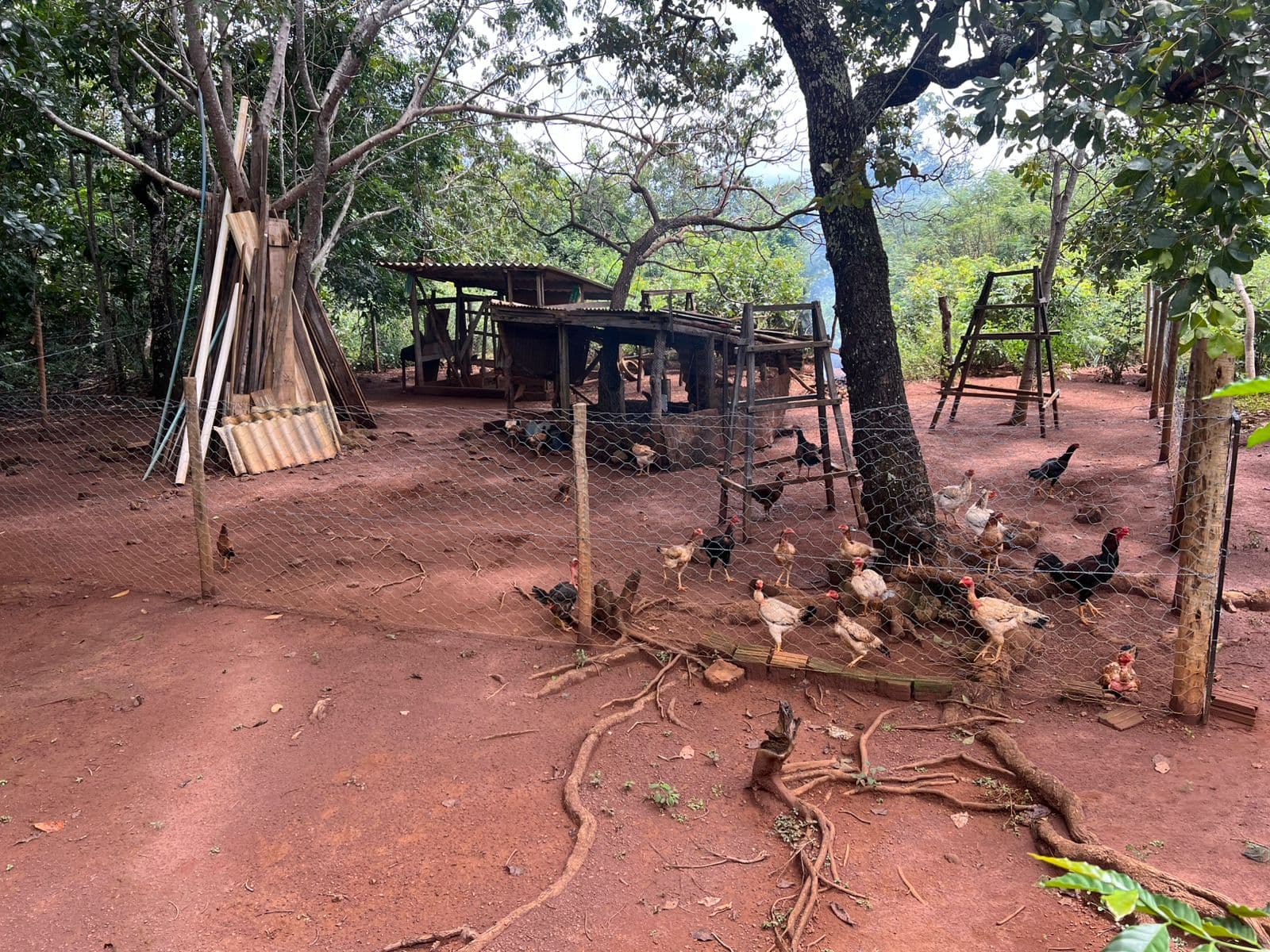 Chácara de 10,86 hectares com casa ampla e poço artesiano à venda entre Taquaruçu e Buritirana