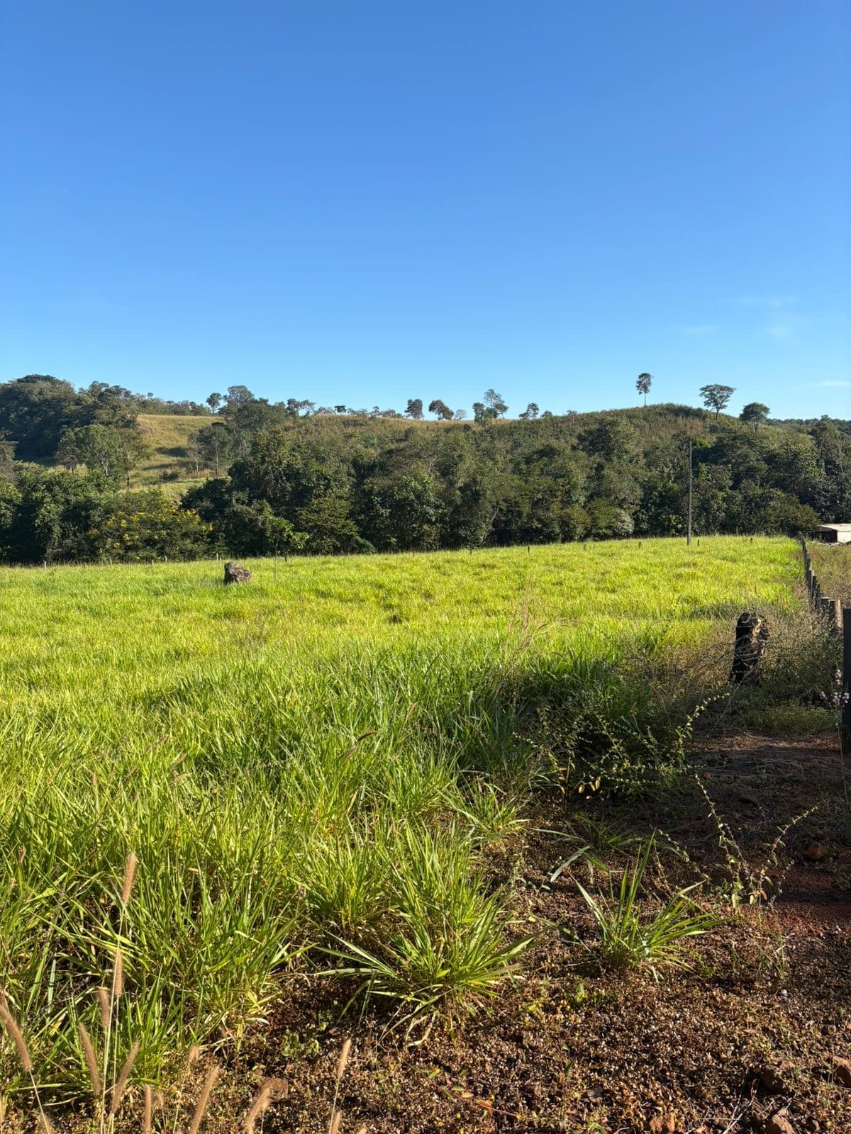 Chácara de 4,51 hectares à venda no Córrego Barreiro – Aparecida do Rio Negro/TO