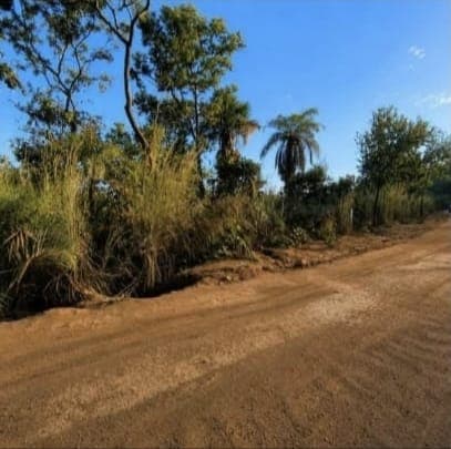 Lote à Venda às Margens da TO-010 – Palmas/TO
