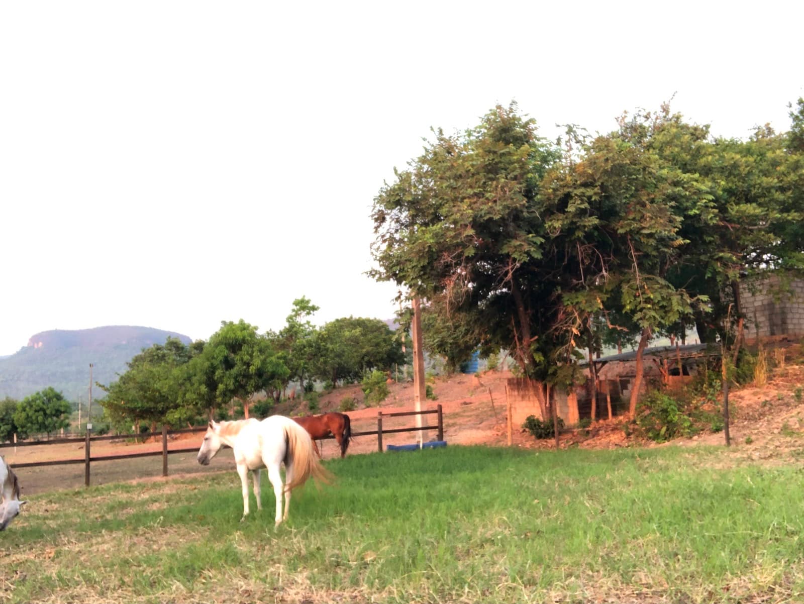 Rancho com estrutura equestre à venda na TO-010, km 17 – Palmas/TO