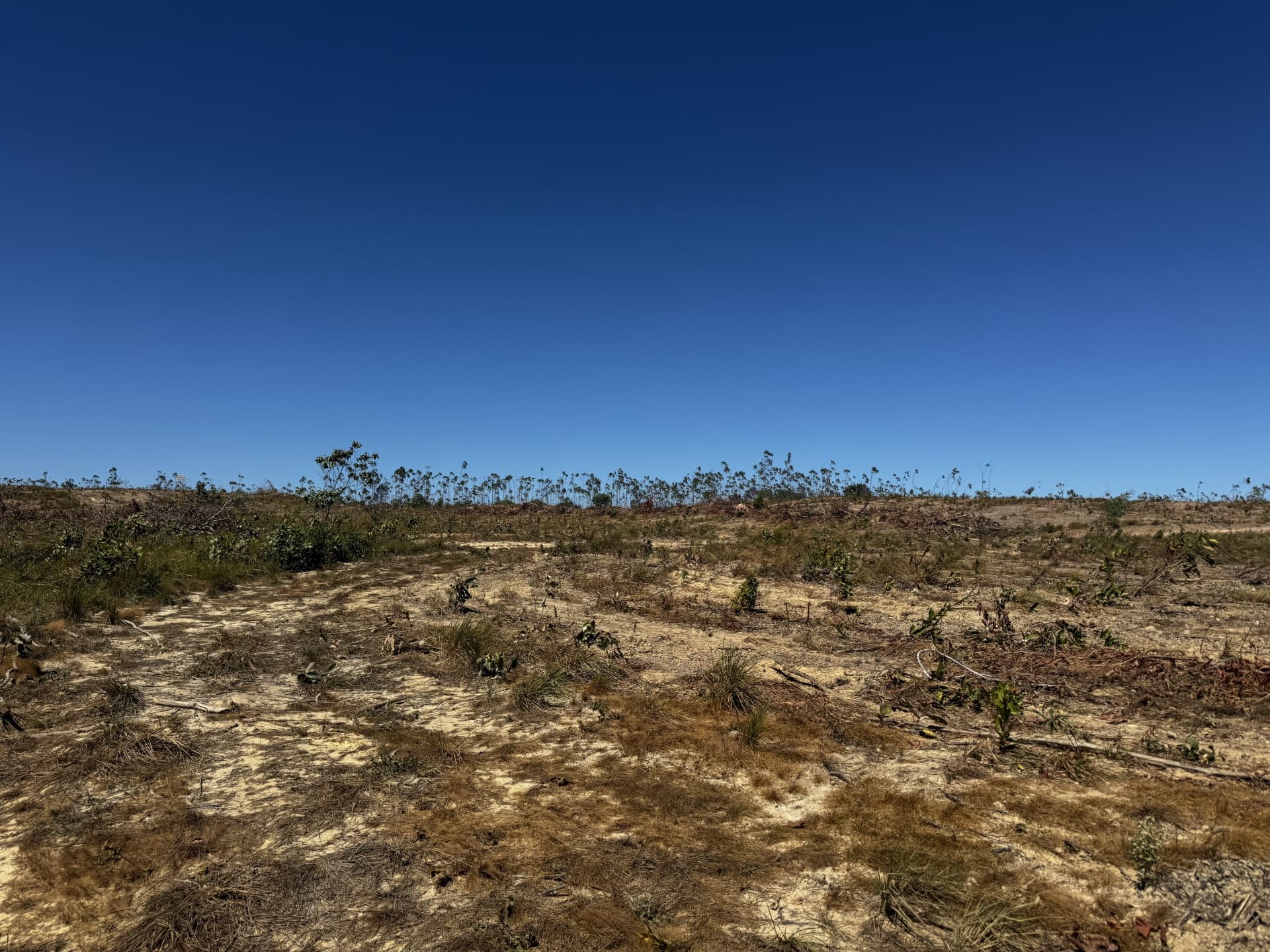 Fazenda à Venda no Vale do Araguaia – Dois Irmãos/TO | 205 Alqueires | Dupla Aptidão