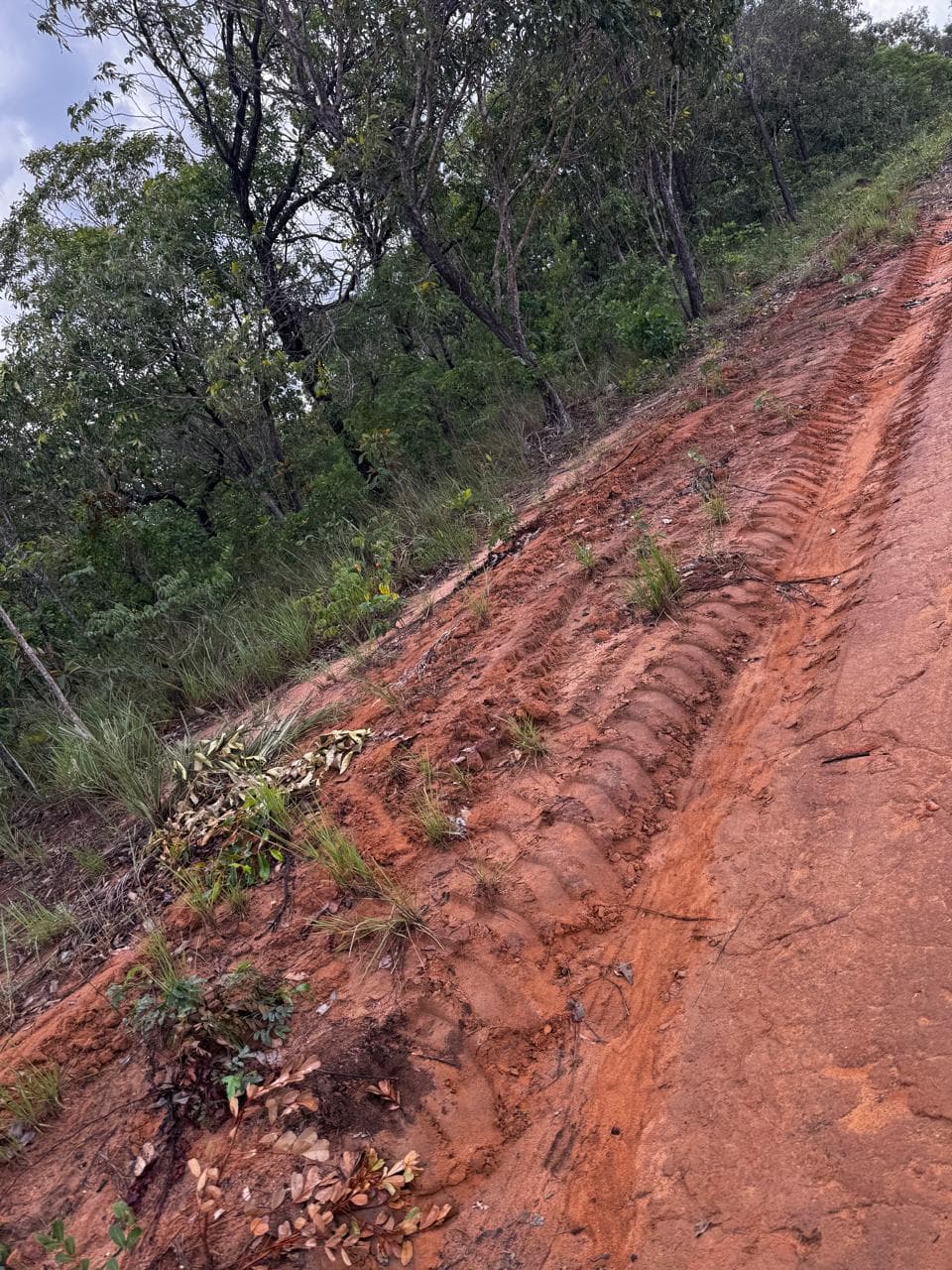 Fazenda com Dupla Aptidão à Venda em Miracema do Tocantins – TO | 242 Alqueires a 60 km de Palmas