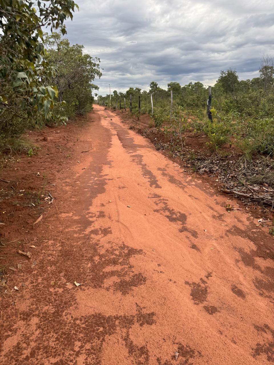 Fazenda com Potencial para Agricultura à Venda em Ponte Alta – TO | 2.420 Hectares