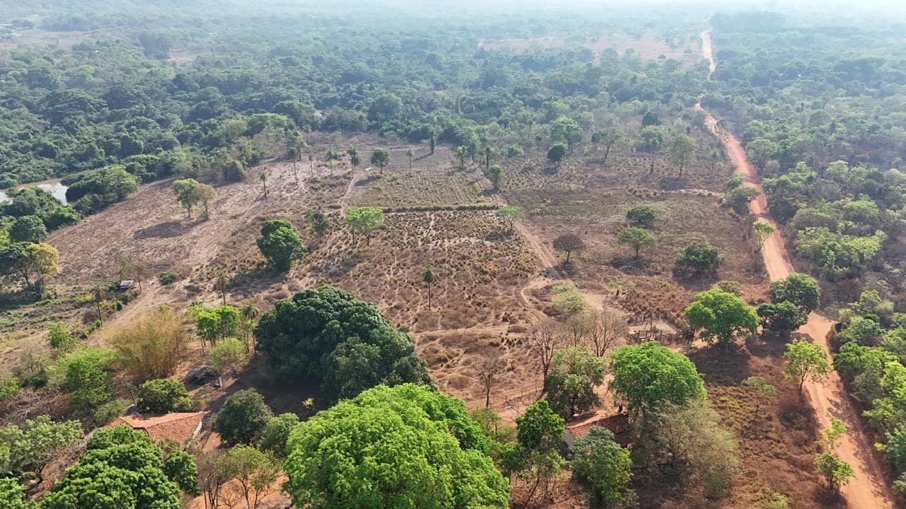 ÁREA À VENDA | 6 ALQUEIRES | TO-050 – PALMAS/TO
