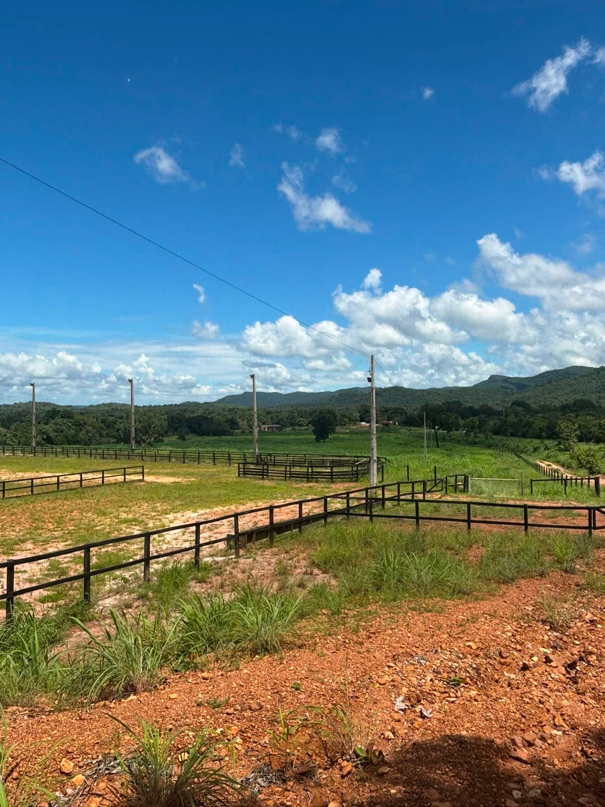 Rancho com estrutura equestre à venda na TO-010, km 17 – Palmas/TO