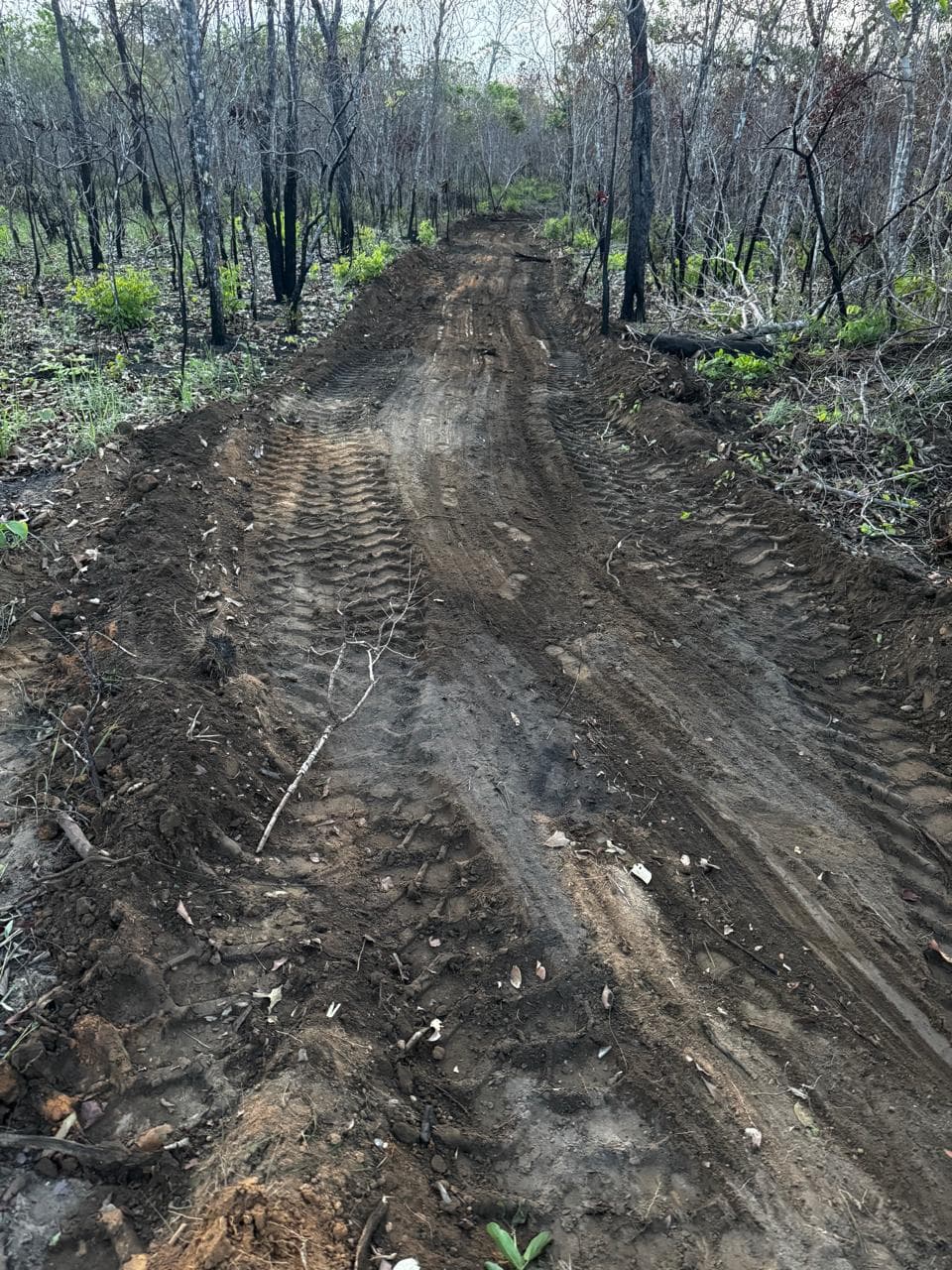 Fazenda com Dupla Aptidão à Venda em Miracema do Tocantins – TO | 242 Alqueires a 60 km de Palmas