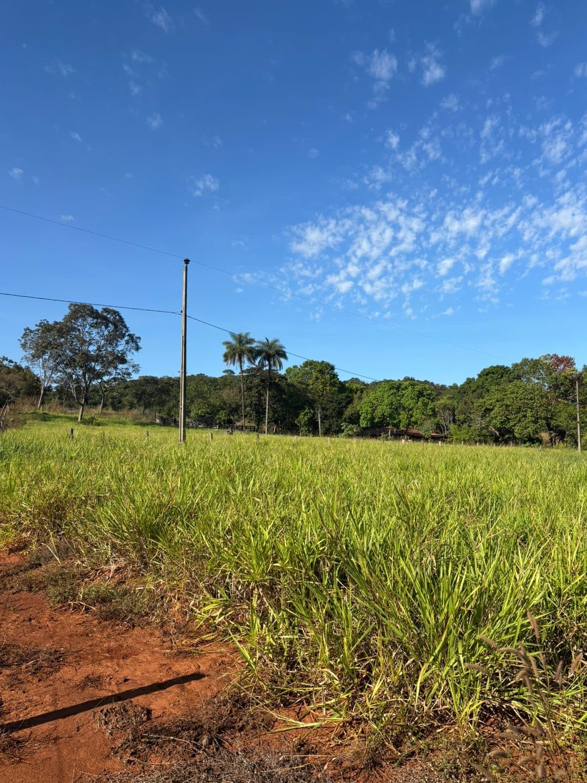 Chácara de 4,51 hectares à venda no Córrego Barreiro – Aparecida do Rio Negro/TO