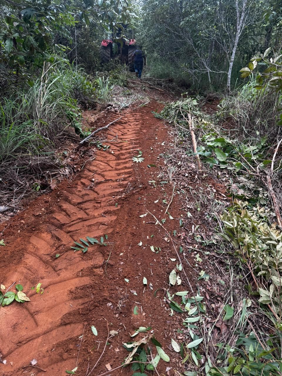 Fazenda com Dupla Aptidão à Venda em Miracema do Tocantins – TO | 242 Alqueires a 60 km de Palmas
