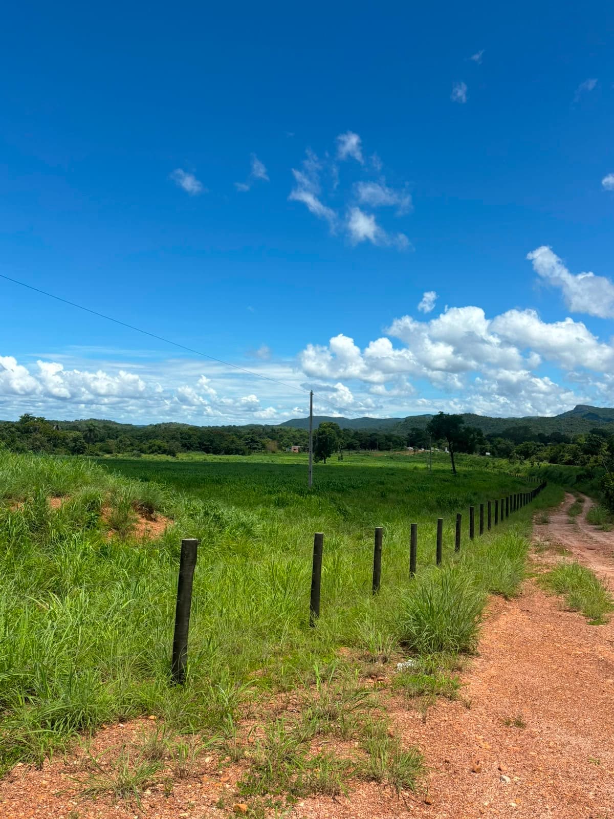 Rancho com estrutura equestre à venda na TO-010, km 17 – Palmas/TO