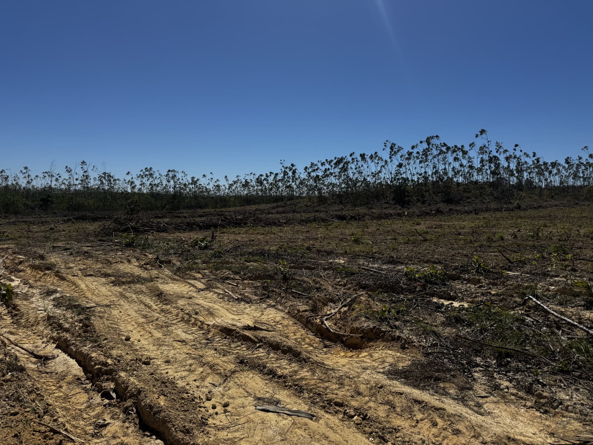 Fazenda à Venda no Vale do Araguaia – Dois Irmãos/TO | 205 Alqueires | Dupla Aptidão