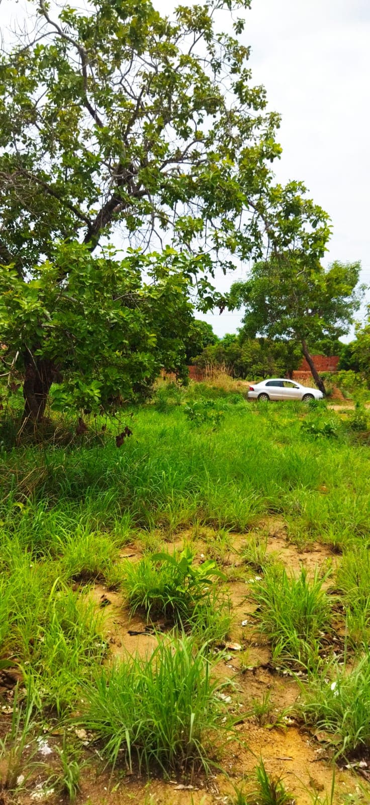 Lote Quitado à Venda no Setor Morada do Sol em Taquaralto – Palmas/TO