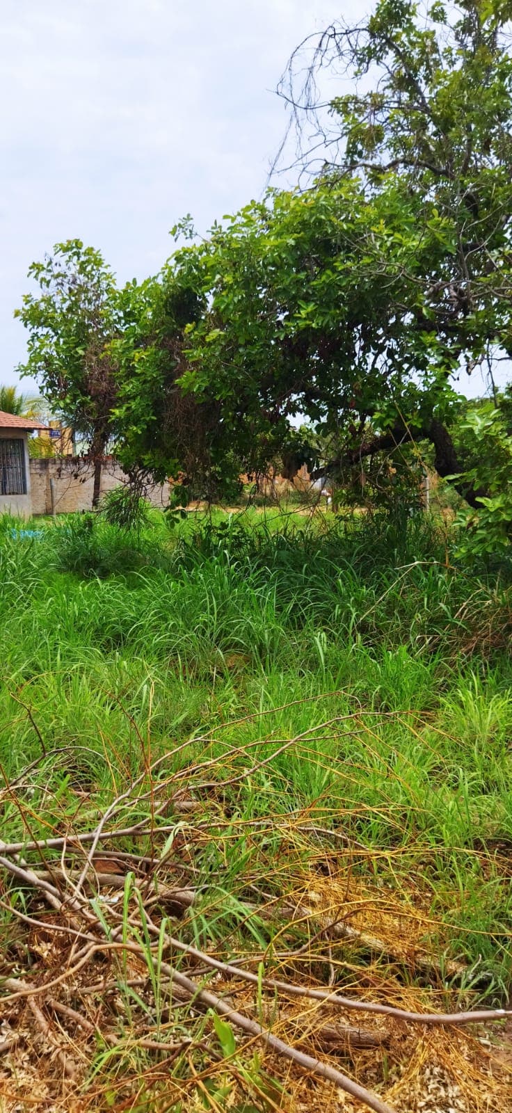 Lote Quitado à Venda no Setor Morada do Sol em Taquaralto – Palmas/TO