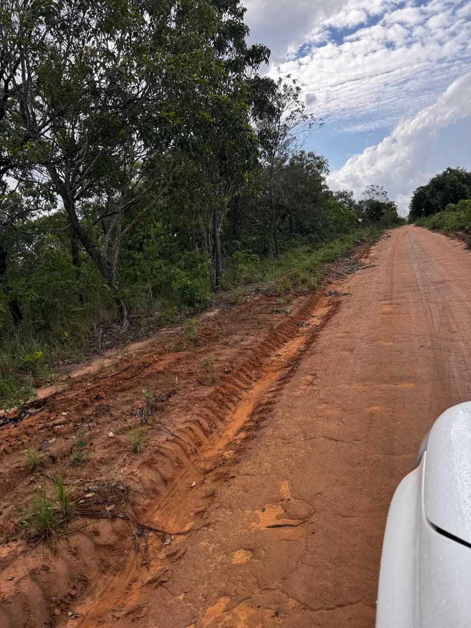 Fazenda com Dupla Aptidão à Venda em Miracema do Tocantins – TO | 242 Alqueires a 60 km de Palmas