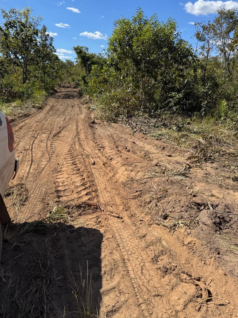 Fazenda com Potencial para Agricultura à Venda em Ponte Alta – TO | 2.420 Hectares