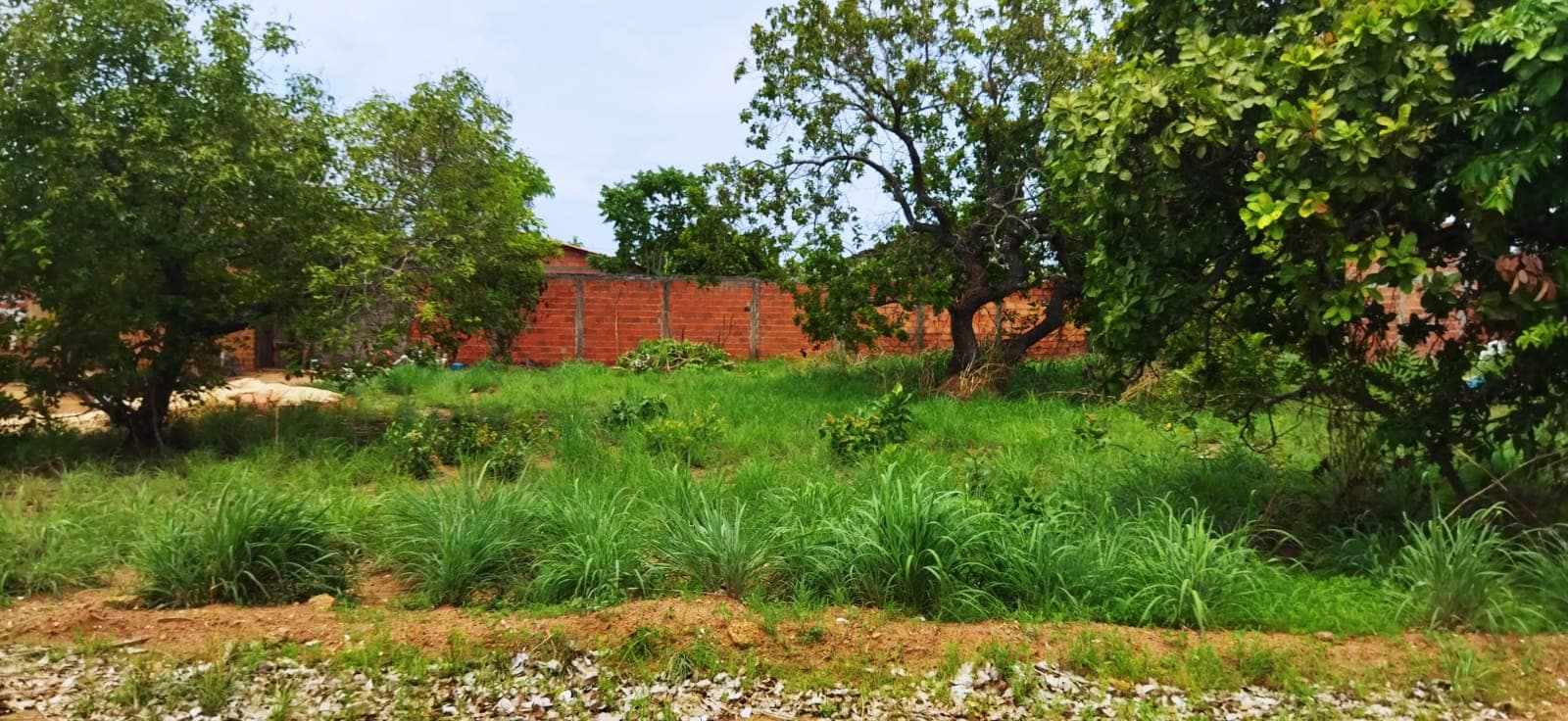 Lote Quitado à Venda no Setor Morada do Sol em Taquaralto – Palmas/TO