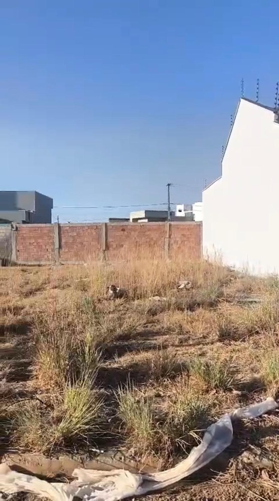 Terreno à Venda na 1603 Sul – Palmas/TO | 325 m²