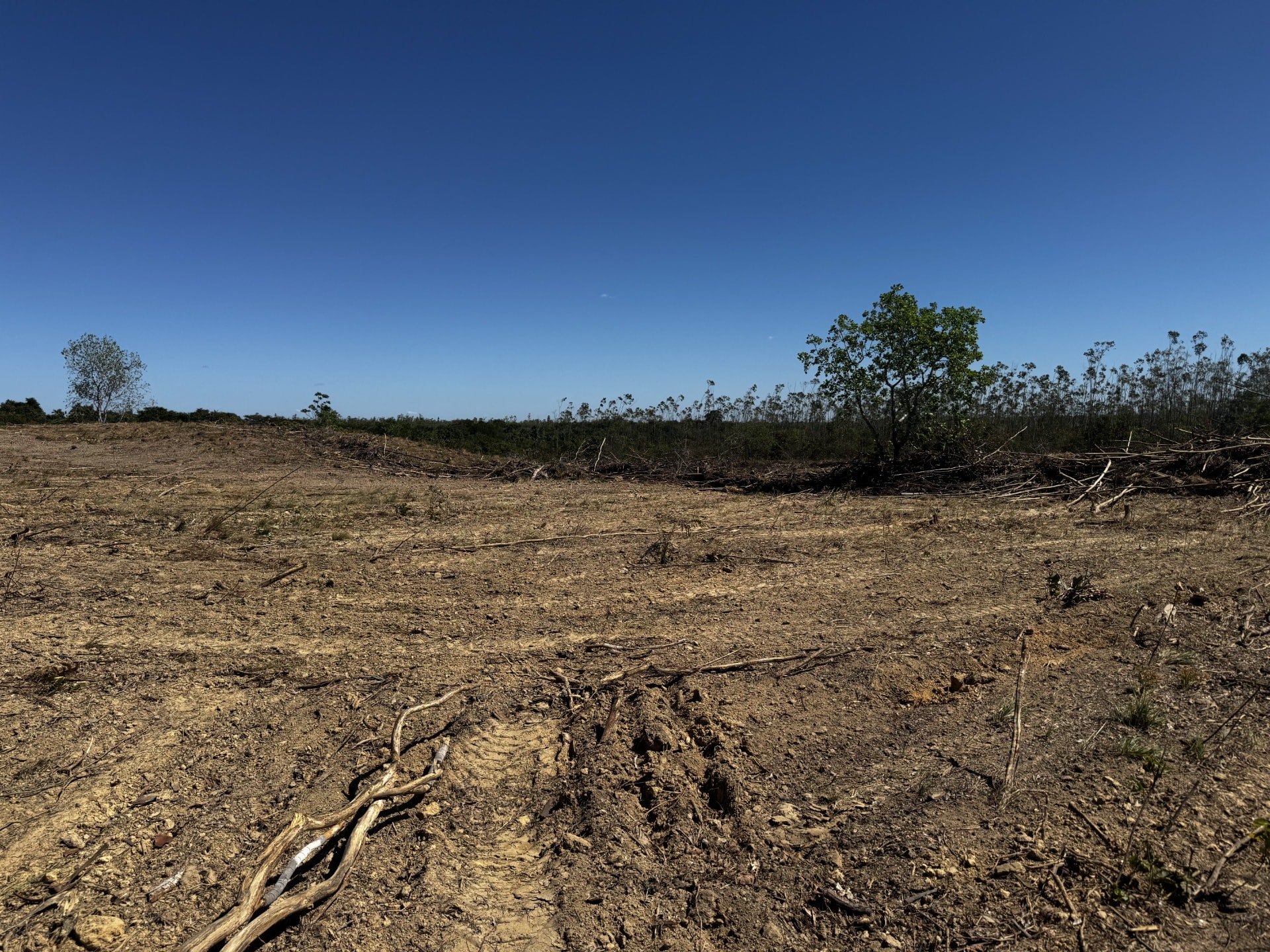 Fazenda à Venda no Vale do Araguaia – Dois Irmãos/TO | 205 Alqueires | Dupla Aptidão