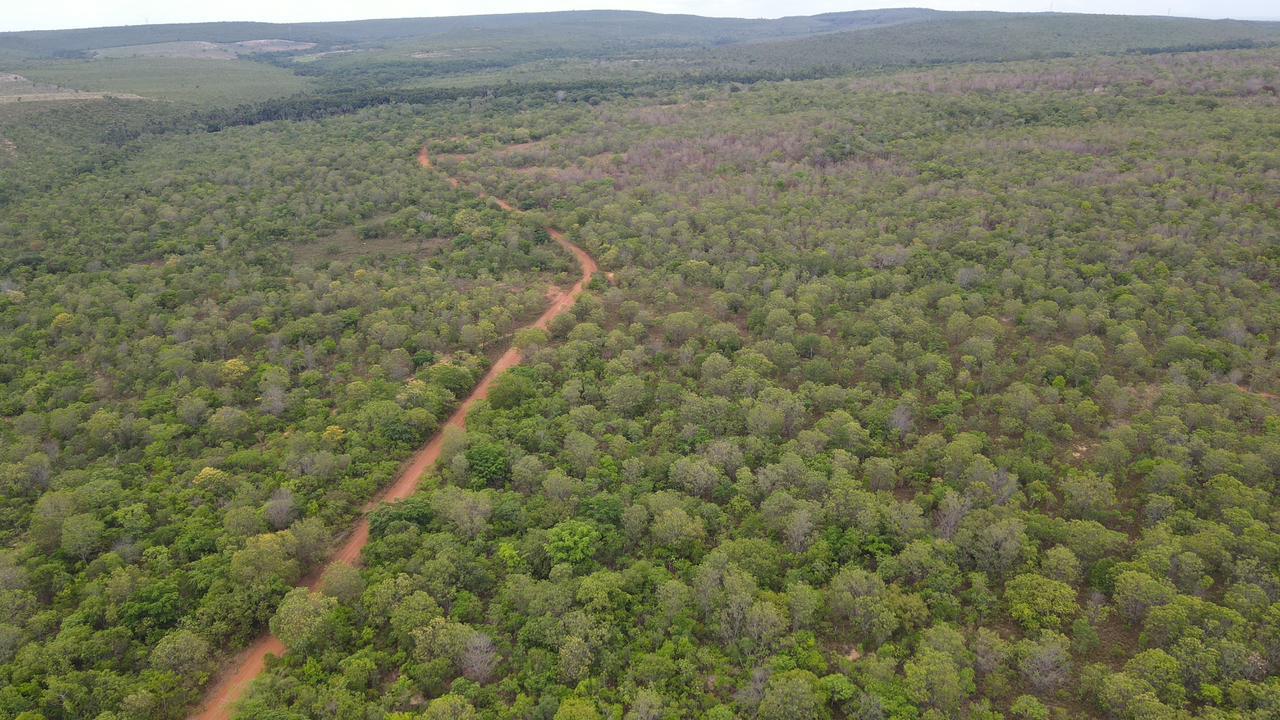 Fazenda com Dupla Aptidão à Venda em Miracema do Tocantins – TO | 242 Alqueires a 60 km de Palmas