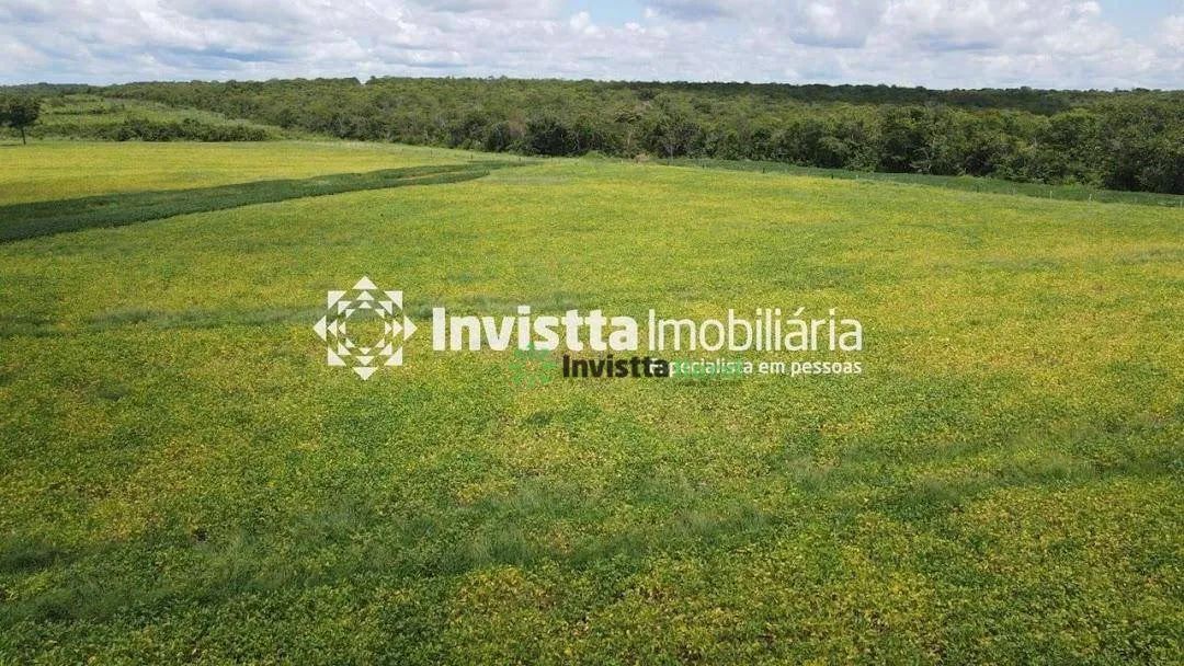 Fazenda de 445 alqueires com lavoura consolidada e alto potencial de expansão em Pedro Afonso/TO