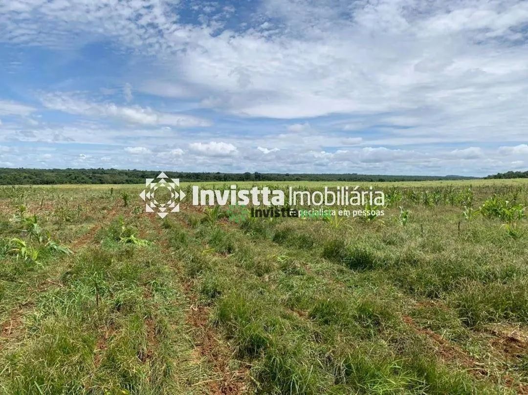 Fazenda de 142 alqueires com 500 hectares de lavoura em Divinópolis/TO