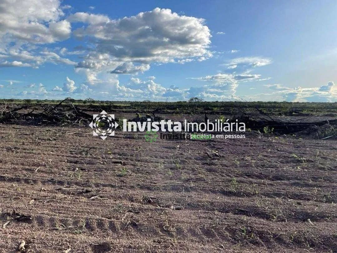Fazenda de 265 alqueires com topografia 100% plana no Vale do Araguaia - TO