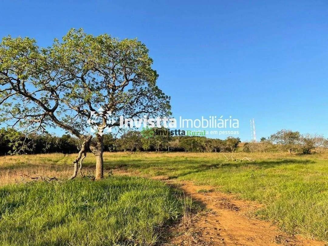 Fazenda de 68 alqueires à beira do asfalto em Miranorte/TO