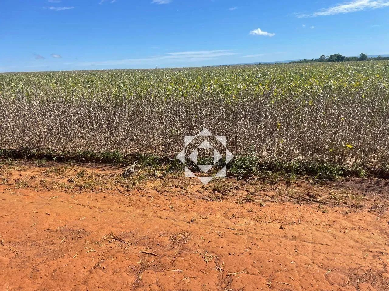 Fazenda de 1.400 hectares com 1.000 hectares de lavoura em Luzimangues