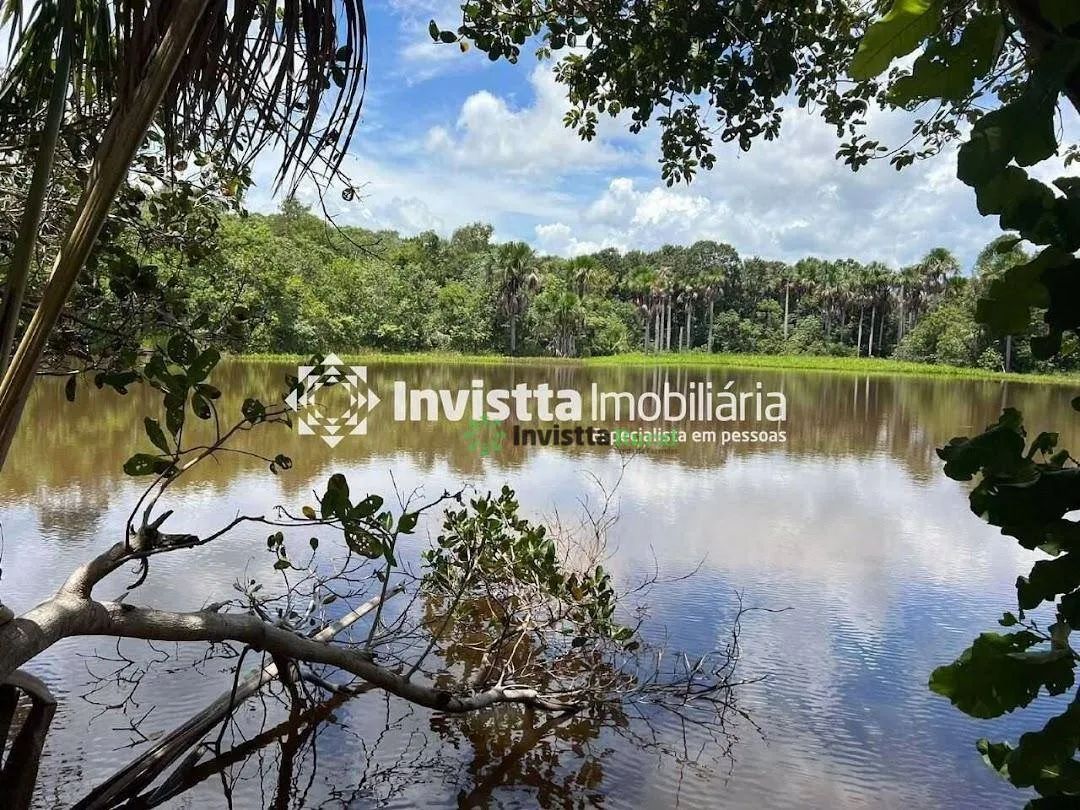 Fazenda à venda em Pugmil/TO com 45 alqueires, ideal para agricultura ou pecuária