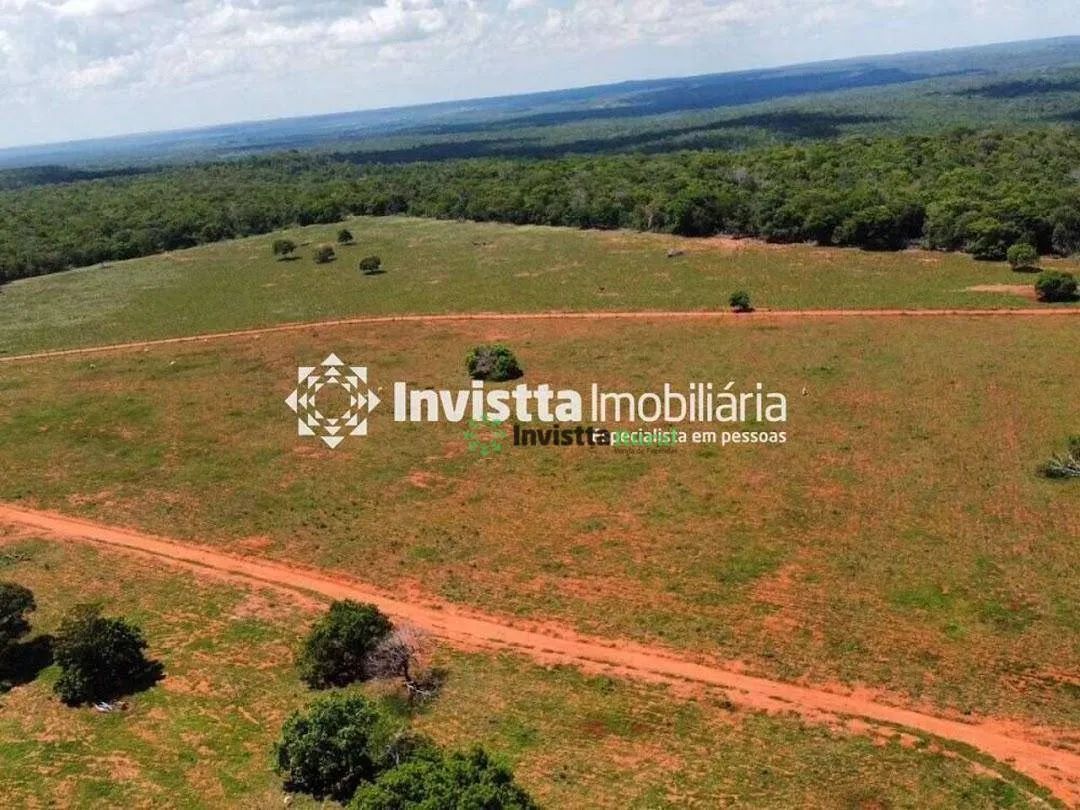 Fazenda à venda em Cristalândia/TO com 50 alqueires, dupla aptidão para pecuária e soja, excelente oportunidade de investimento rural