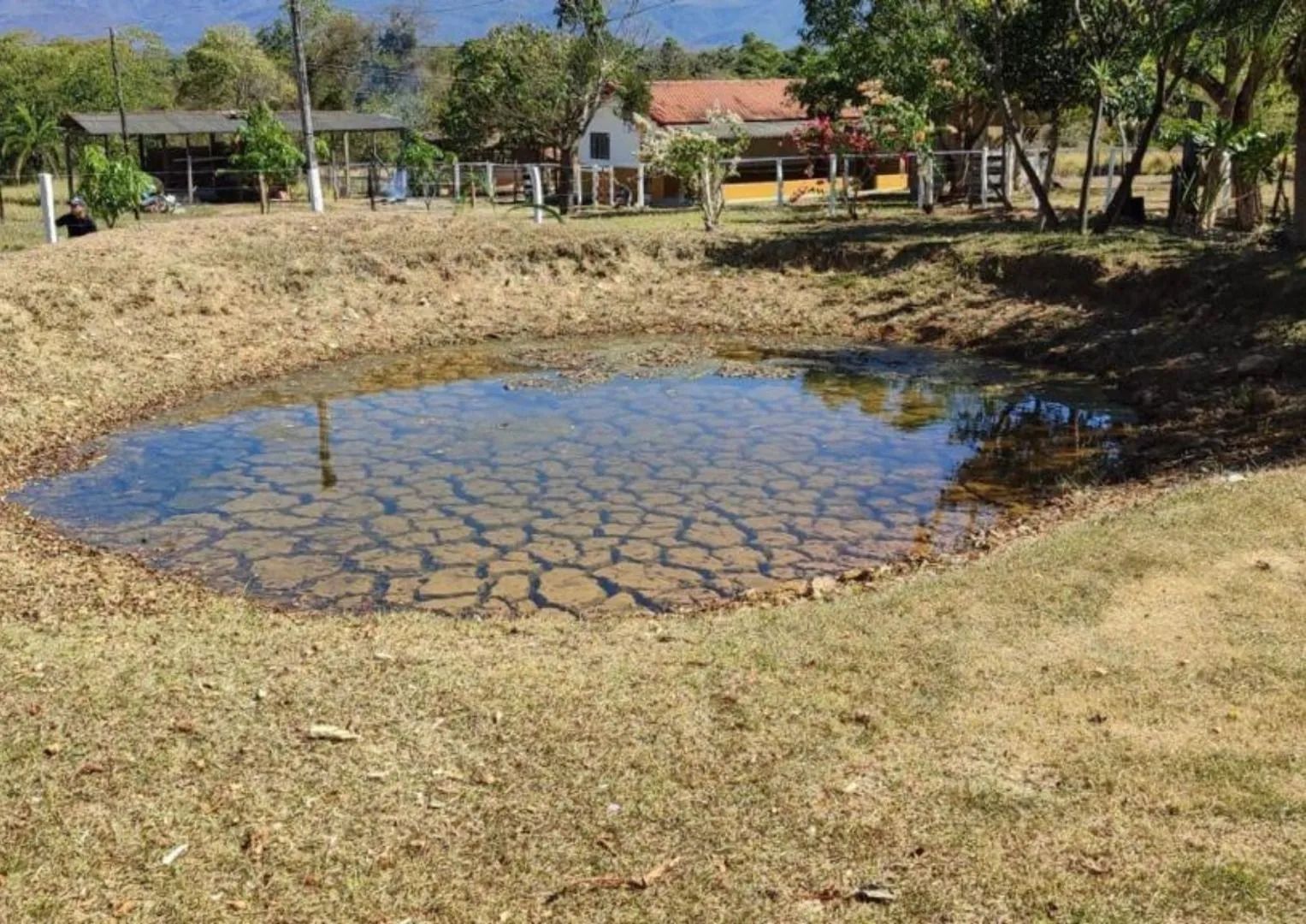 Fazenda com Dupla Aptidão à Venda em Formosa – GO | Vale do Paranã
