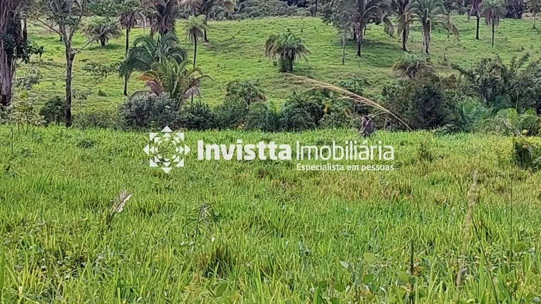Fazenda à venda em Colméia/TO com 94 alqueires, 62 alqueires em pasto e estrutura completa para pecuária