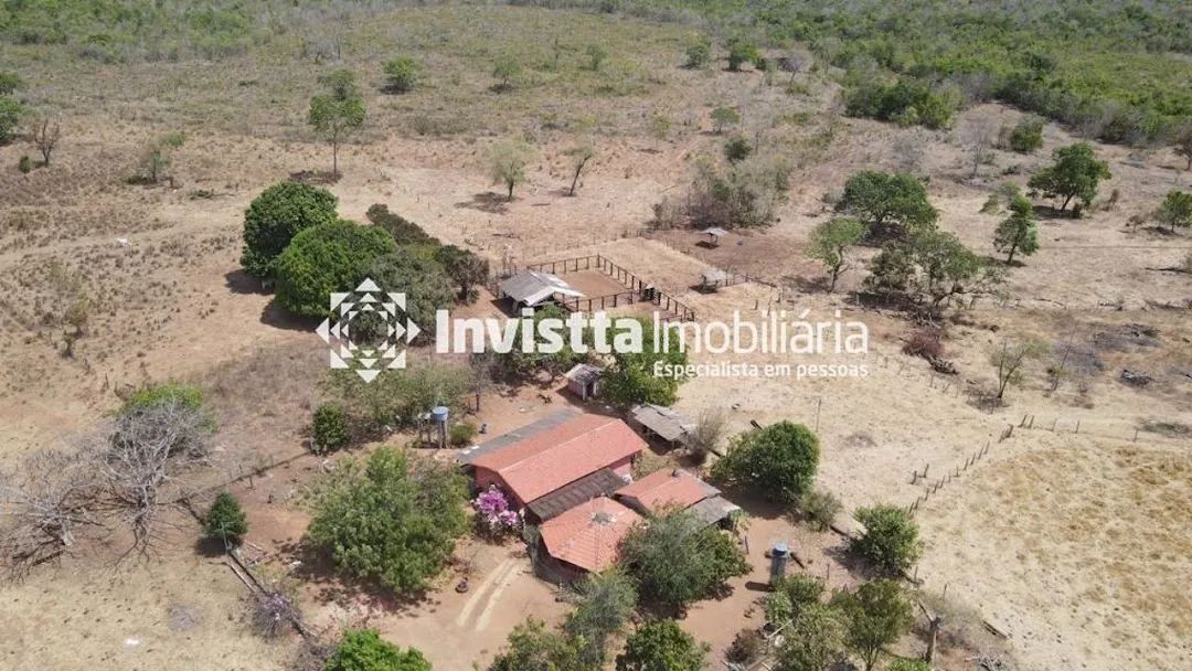 Fazenda à venda em Chapada de Areia/TO com 428 hectares, em pasto e com excelente potencial para lavoura