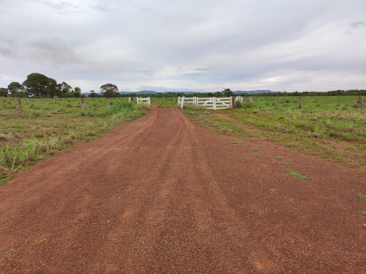 Fazenda com 390 Alqueires à Venda em Silvanópolis – TO | Alta Aptidão Agropecuária