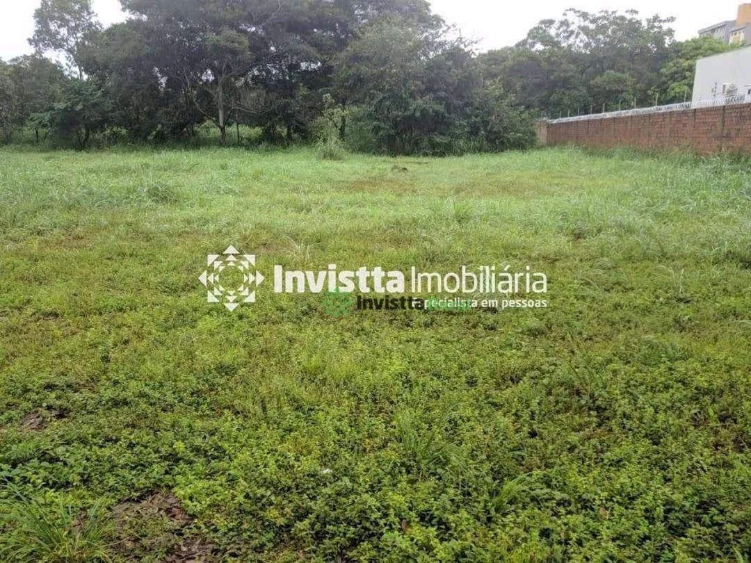 Imagem 3