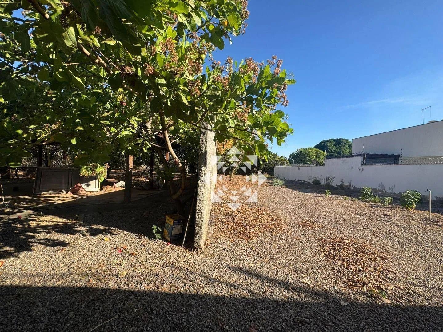 Imagem 6