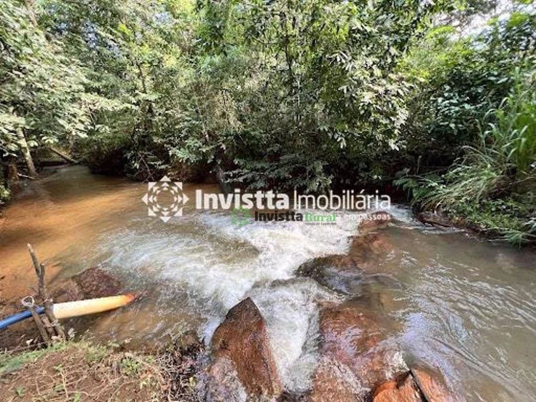 Imagem 6
