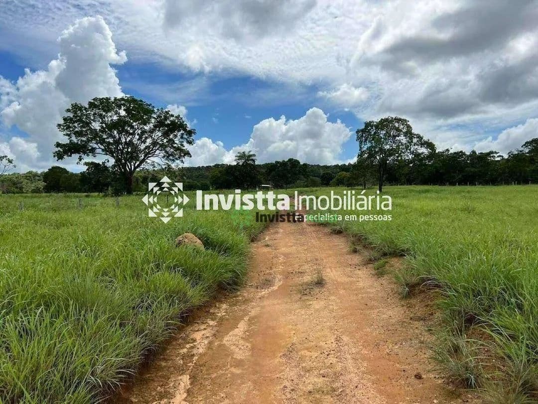 Imagem 6