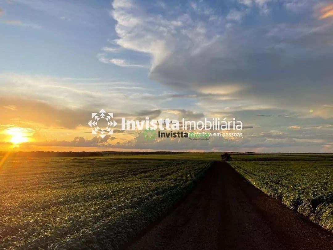 Imagem 5