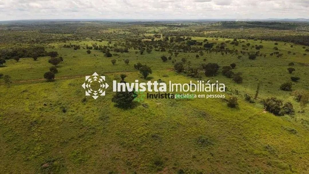 Imagem 6