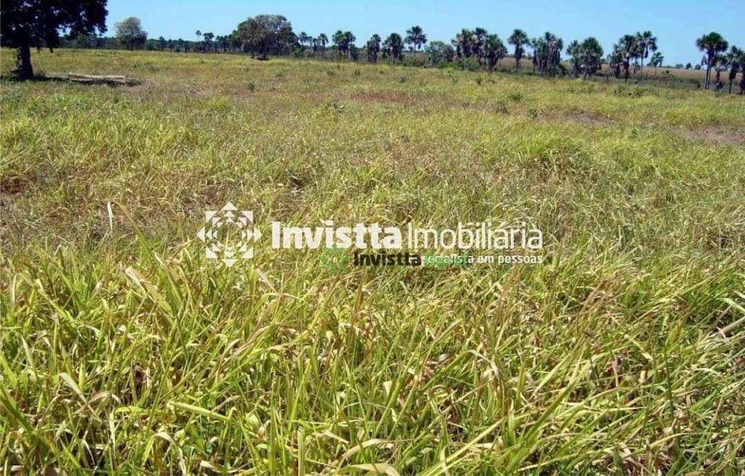 Imagem 4