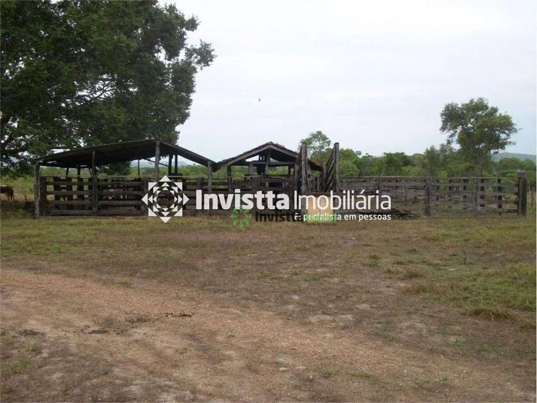 Imagem 6