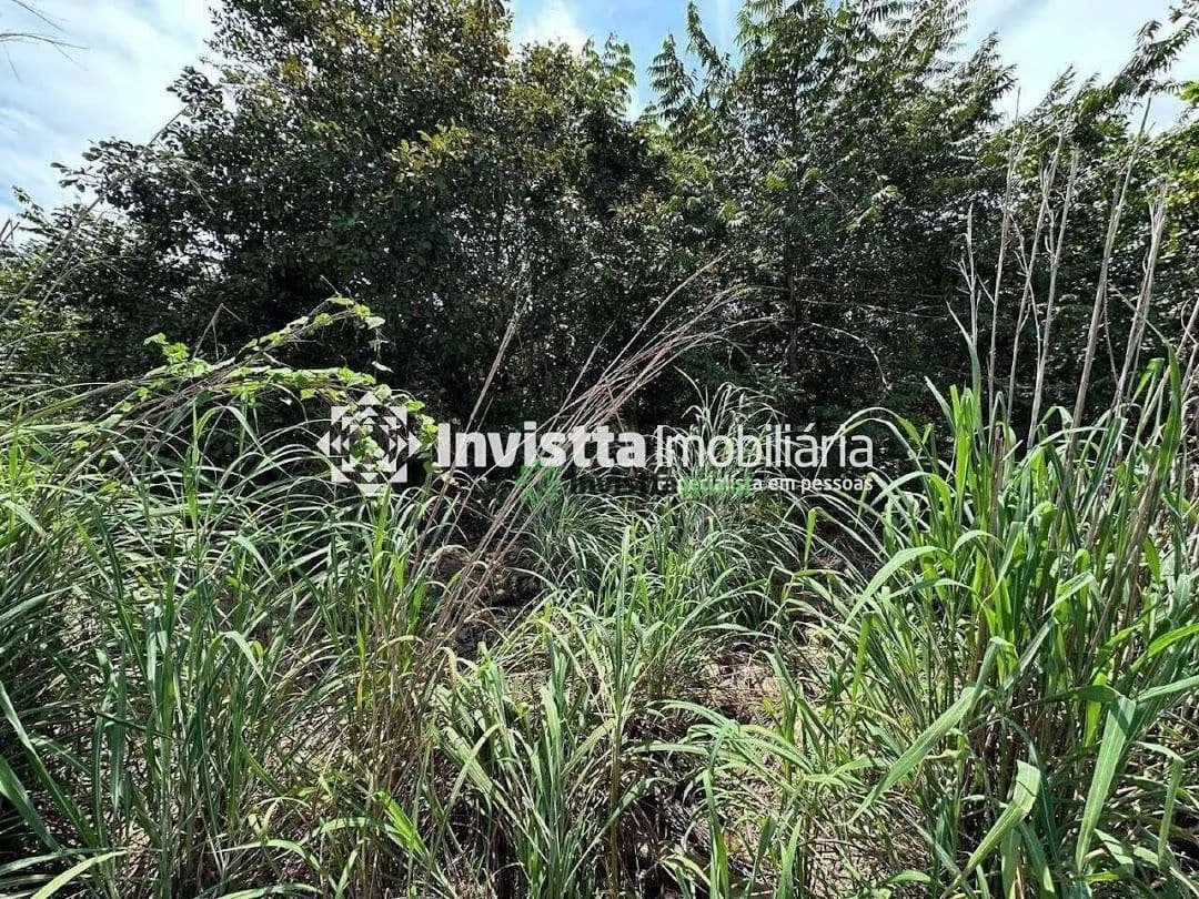 Imagem 3