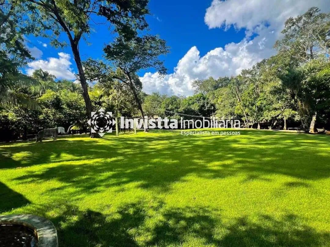 Imagem 6