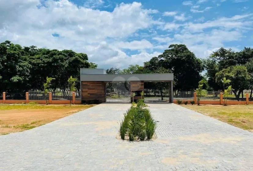 Imagem 3