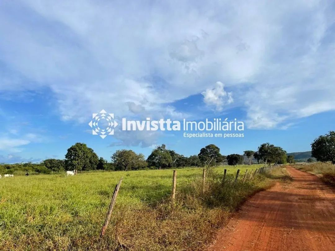 Fazenda à venda com 2.463 hectares, 510 alqueires e excelente estrutura para pecuária
