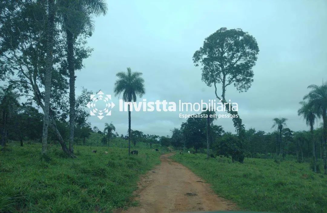Fazenda à venda entre Palmas e Paraíso do Tocantins com 68,5 alqueires, dupla aptidão e excelente logística