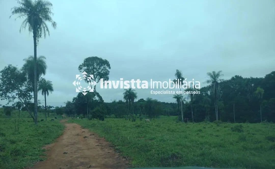 Imagem 3