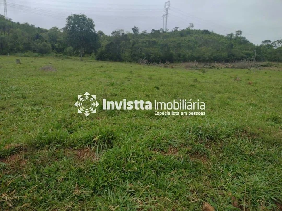 Imagem 6