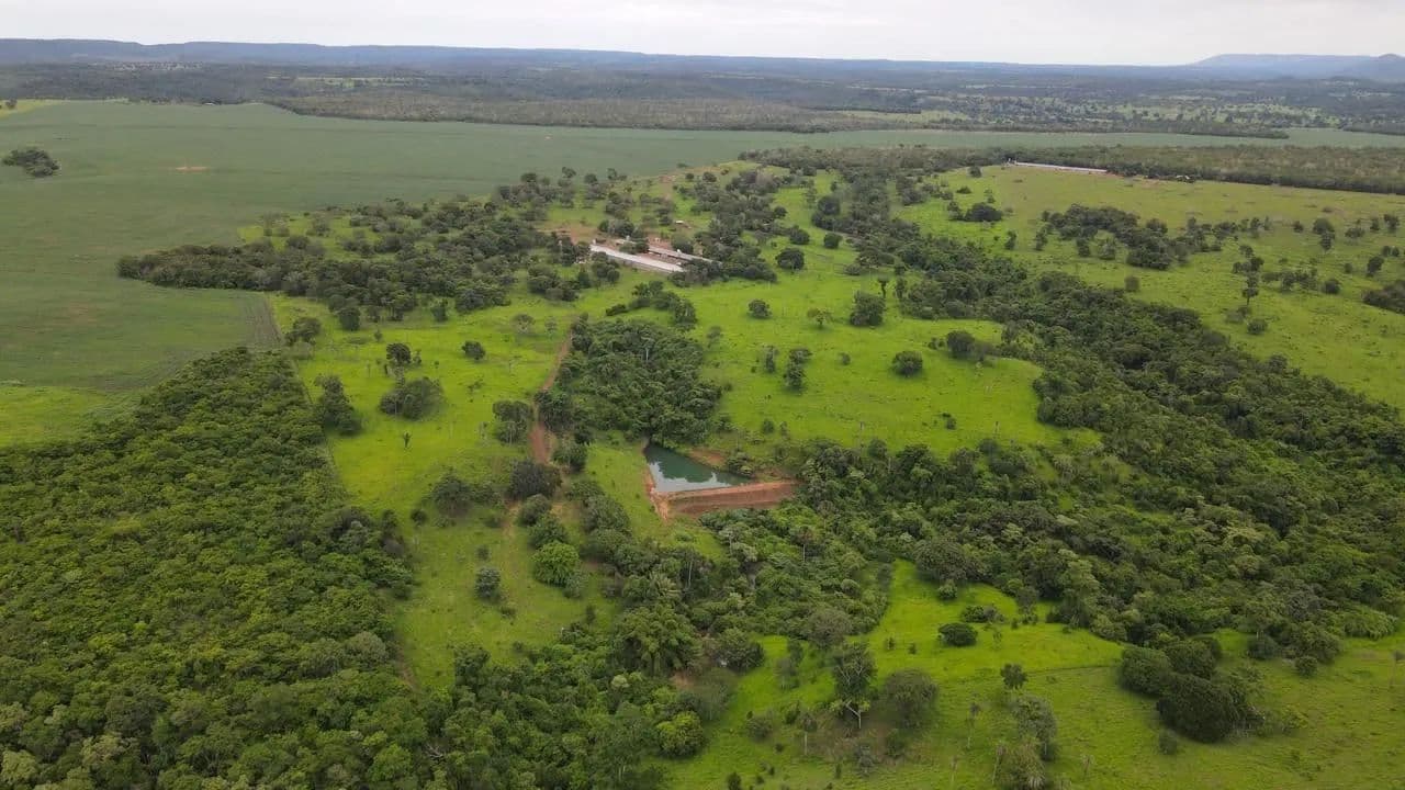 Imagem 4